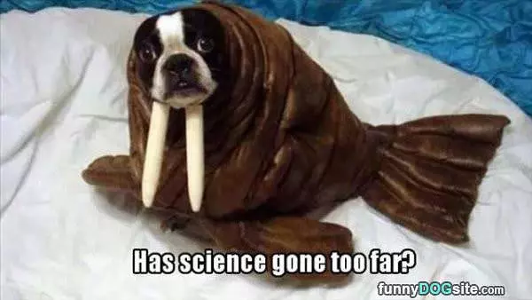 Has Science Gone Too Far
