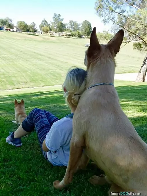 Watching The World Turn