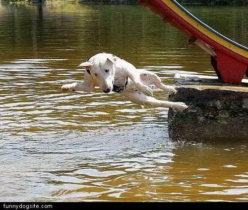 Water Jump