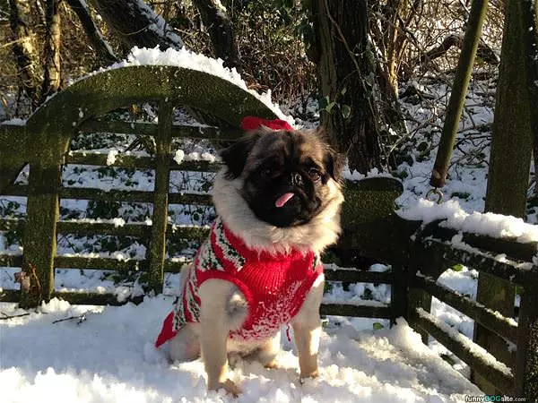 A Late Merry Christmas