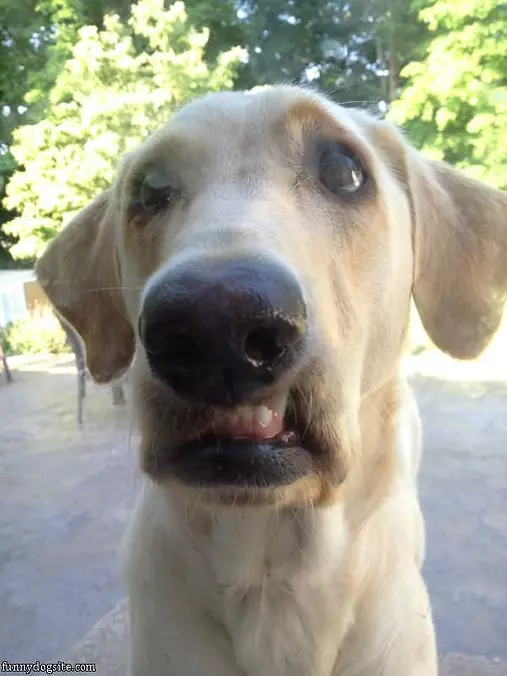 Waiting For Her Breakfast