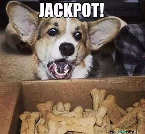 I Have The Jackpot