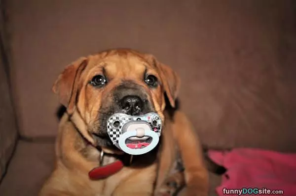 My Binky
