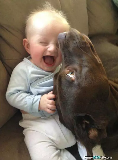 Ohhhh Hahaha So Funny