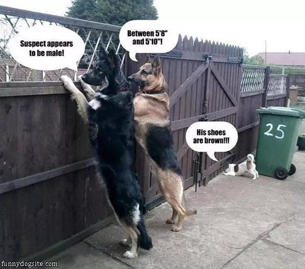 Police Dogs