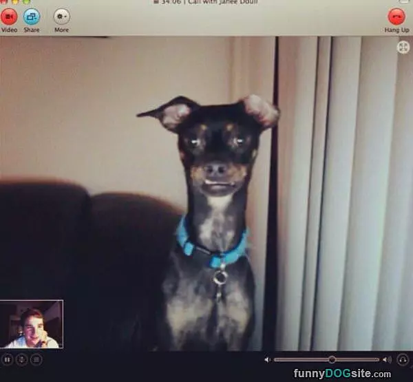 Skyping