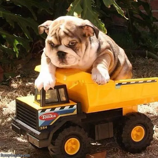 My Toy Truck