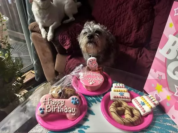 Birthdays Are Awesome
