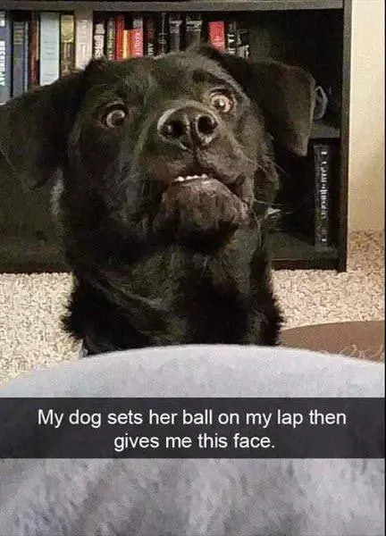 Gives Me This Face