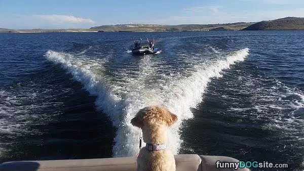 Boating Is Awesome