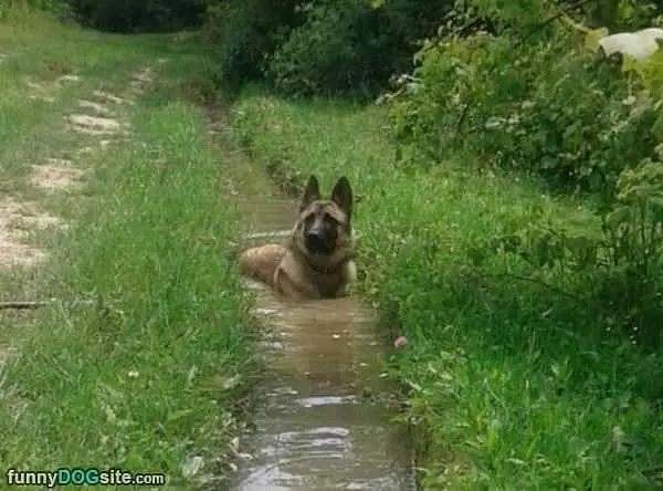 Found The Cool Spot