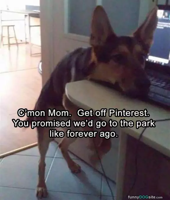 Lets Go To The Park