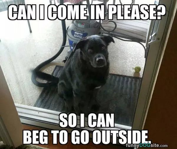 Can I Come In