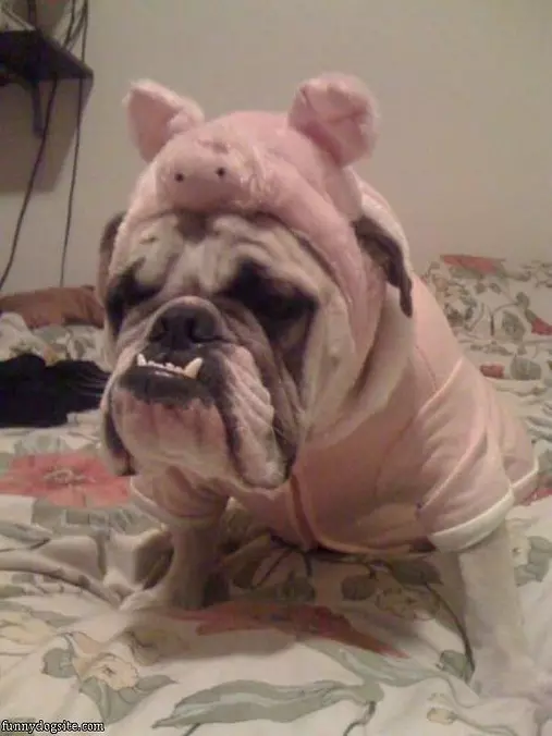 My Fun Costume