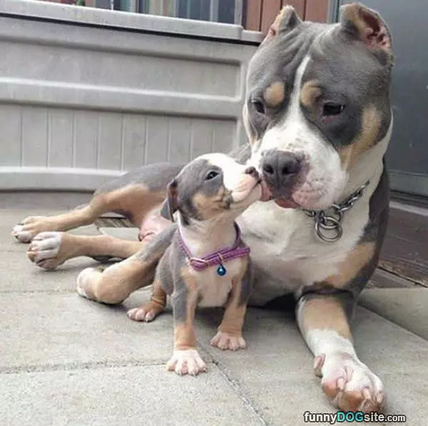 Give Me A Kiss