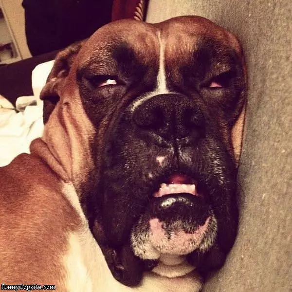 I Am Sooo Passed Out