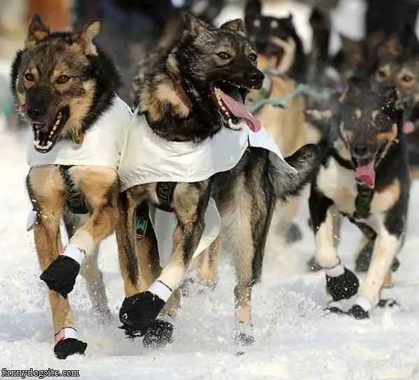 Run Run
