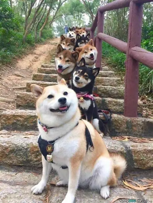 So Many Smiles