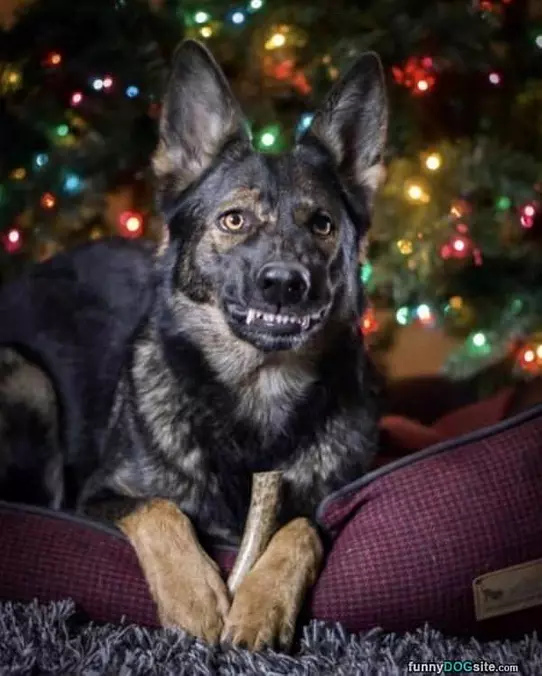 Getting A Big Smile In