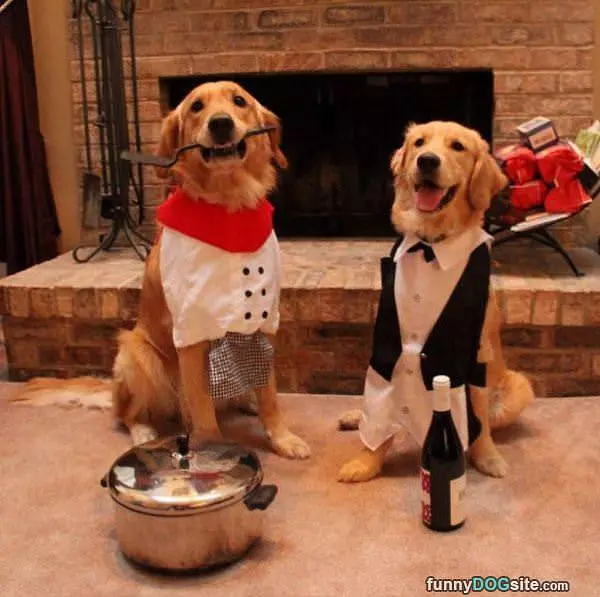 Making Dinner