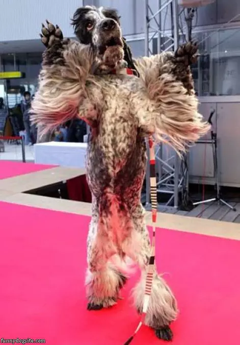 Jumping Dog