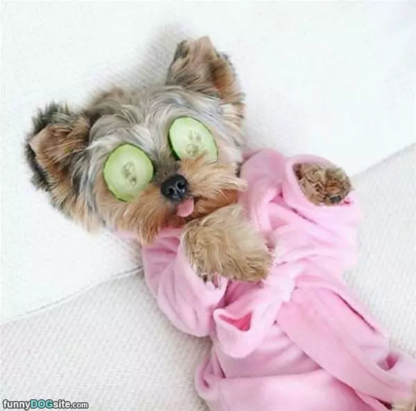My Spa Day