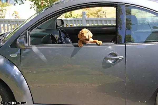 In The Car