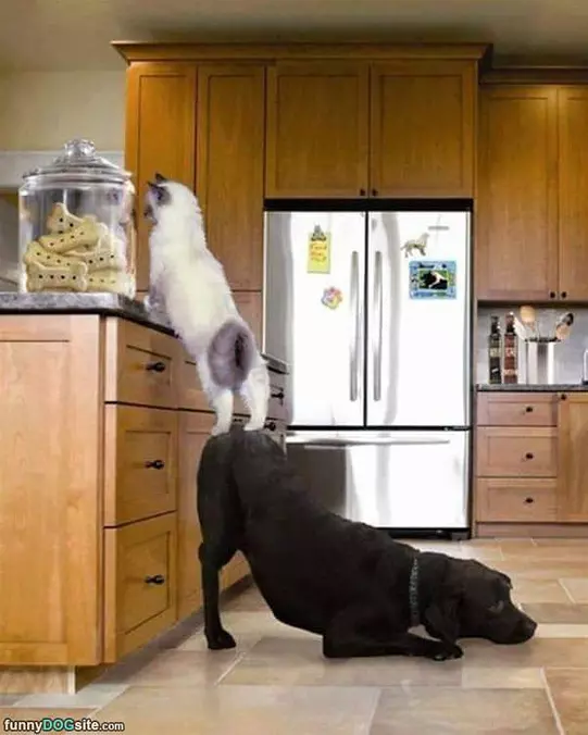 Helping Out My Buddy