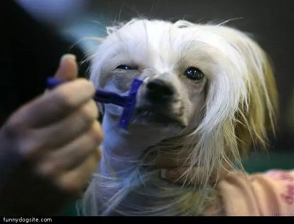 Close Shave