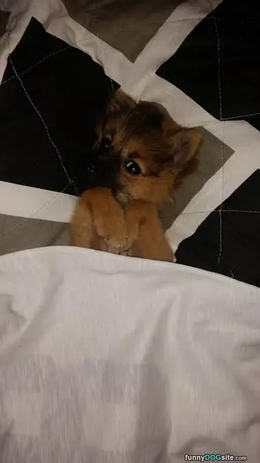 Time For A Nap