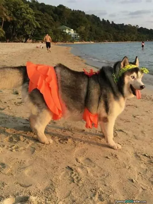 A Beach Day