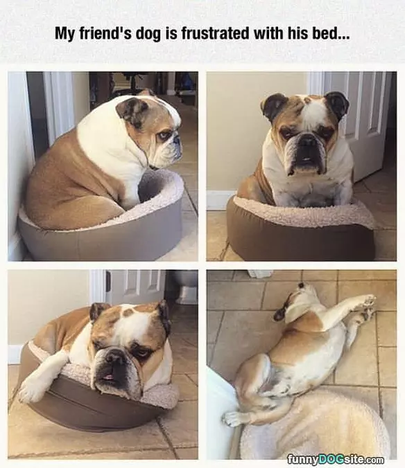 This Bed Is Frustrating