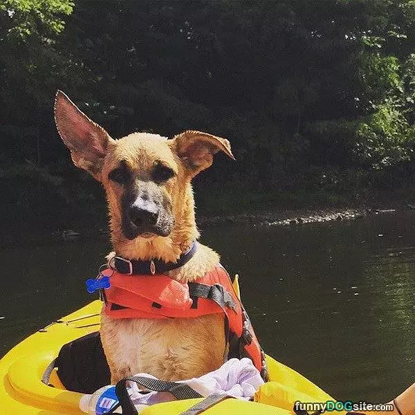 Day Of Boating