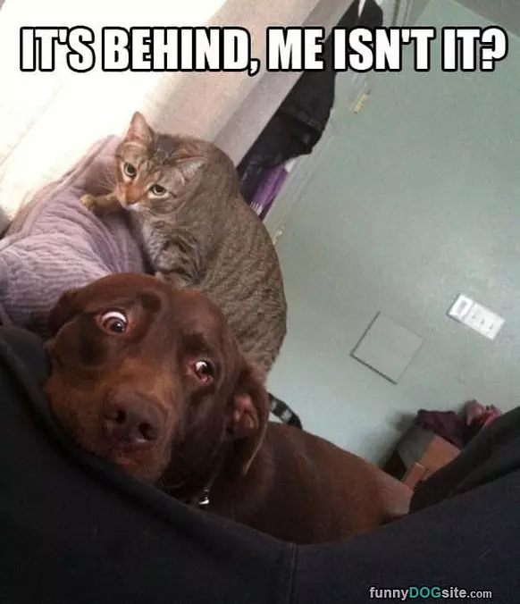 Behind Me