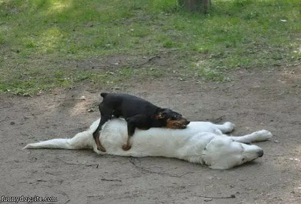 Wake Up Man