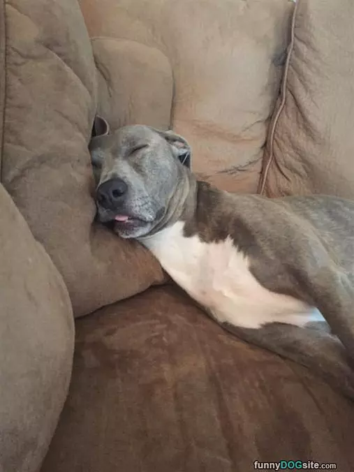 Sooo Passed Out