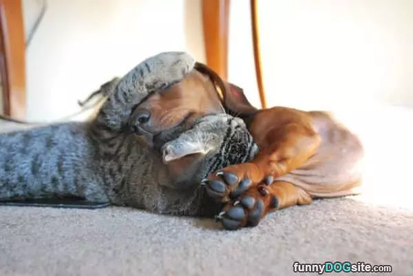 Can Stay Warm This Way