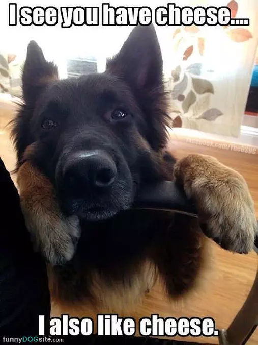 I See You Have Cheese