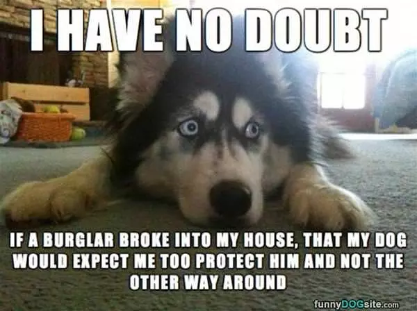 I Have No Doubt