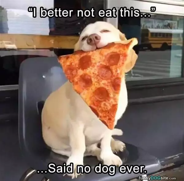 I Better Not Eat This