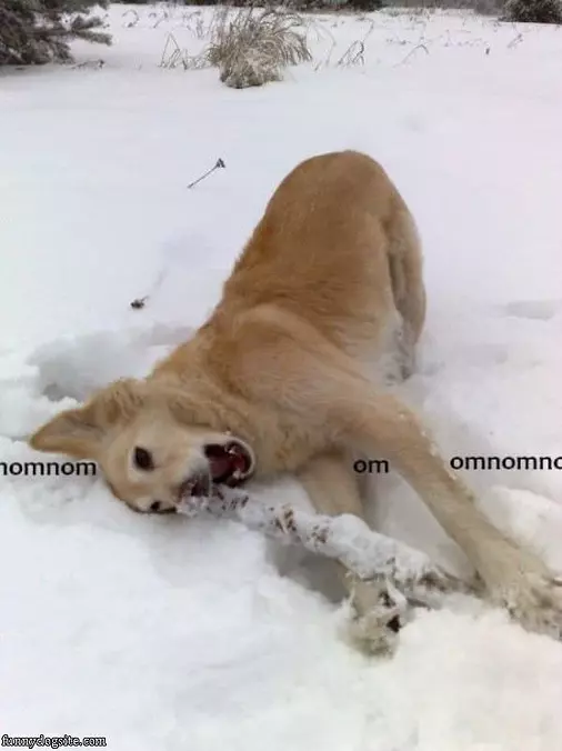 Omnomnom Omnom