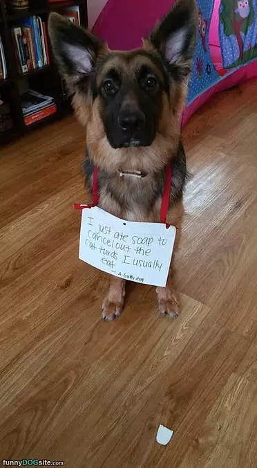 I Ate The Soap
