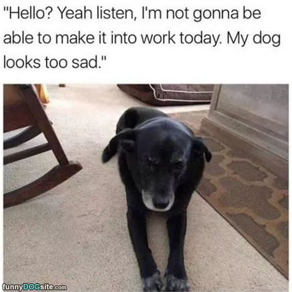 Not Coming Into Work Today