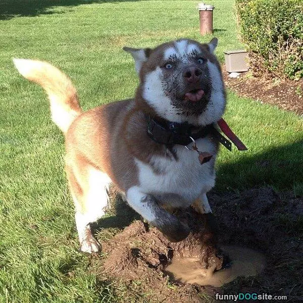 Making A Little Mess