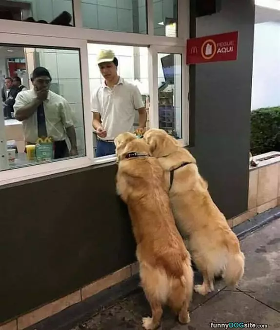 Would Like To Place An Order