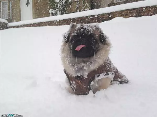 Winter Is Coming