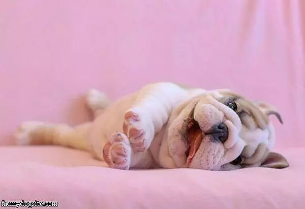 Dont Want To Wake Up Yet