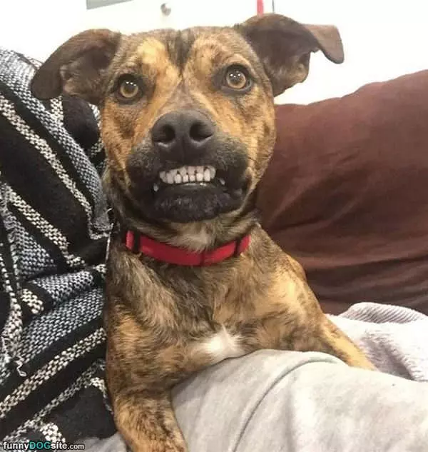 Smile Dude