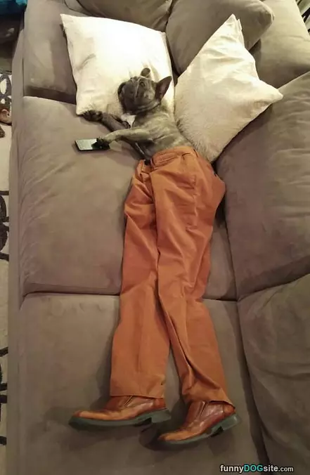 Got My Pants
