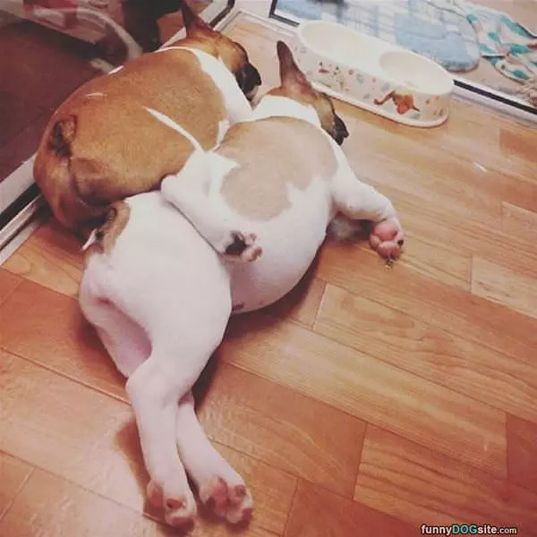 How We Chill